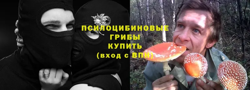 Галлюциногенные грибы Magic Shrooms  площадка Telegram  Амурск 